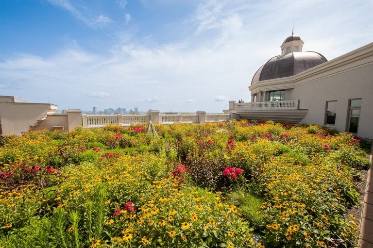 Environmental Science Program Receives $3.5 Million Boost as Bob and Judy Fisher Honor Late Son with New Endowments