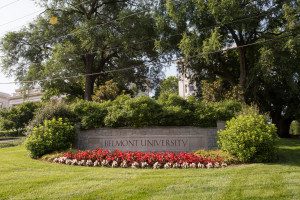 Belmont Sign Glamour Shot