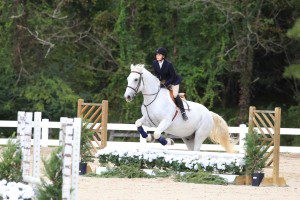 Belmont Equestrian Jumper