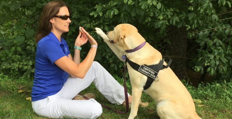 Research Projects from Physical Therapy Faculty and Students Recognized