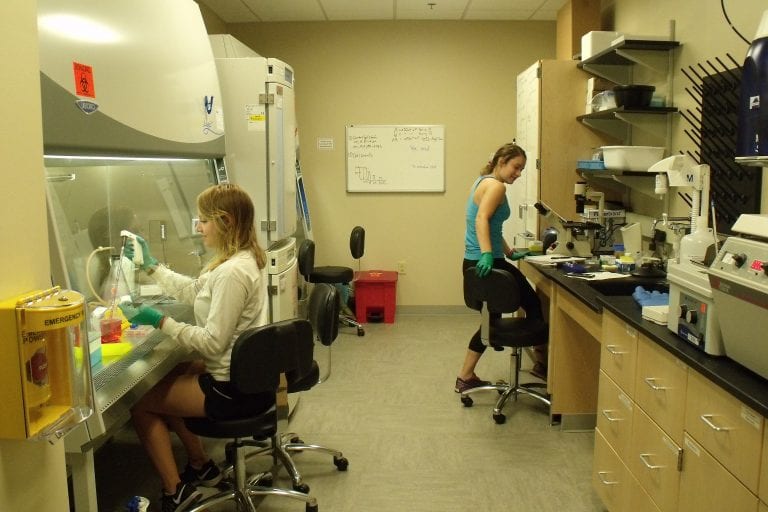 Biology Summer Scholars Conduct Collaborative Research
