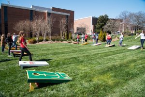 Tailgate on the Lawn