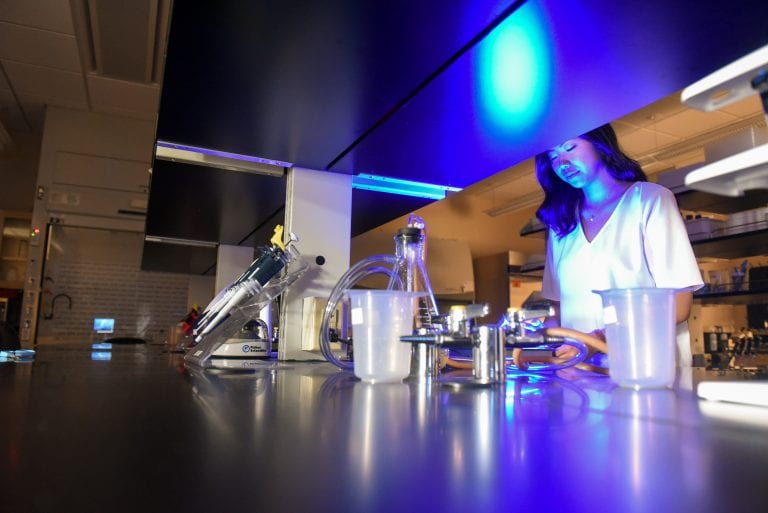 Summer Scholars Facilitate Research Across Campus