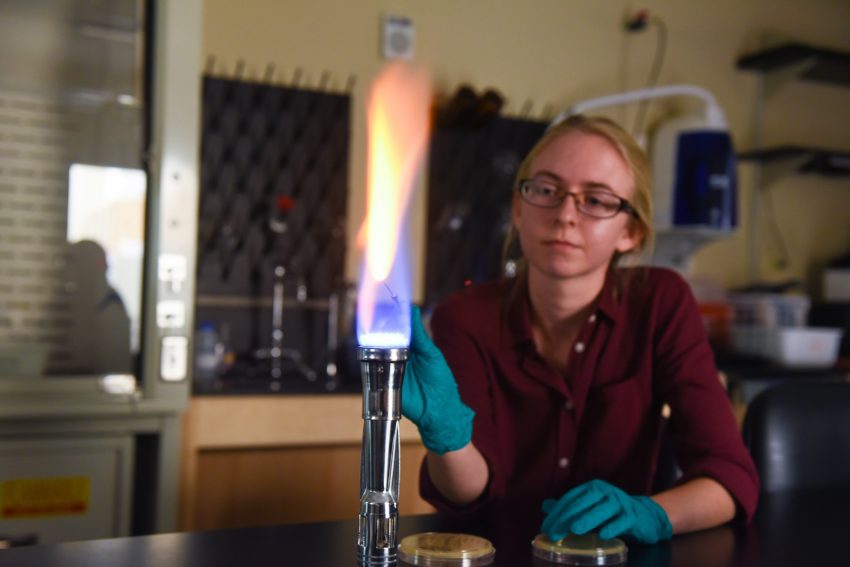 A student completes research during the Summer Scholars.