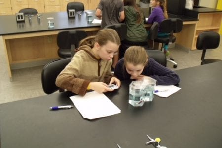 two young girls at a lab table, concentrating on their the fish jar in front of them