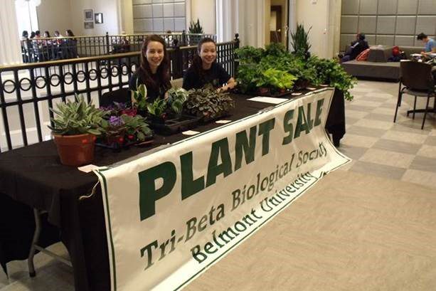 Students sit at a table during the Tri-Beta Plant sale