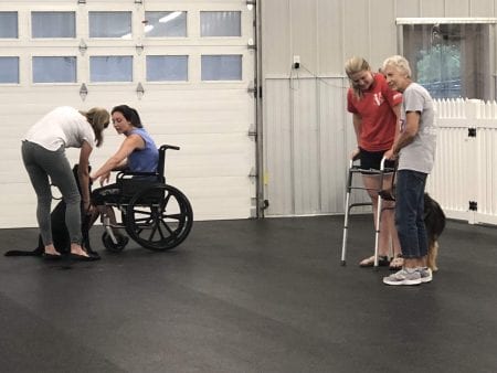 Students train therapy dogs