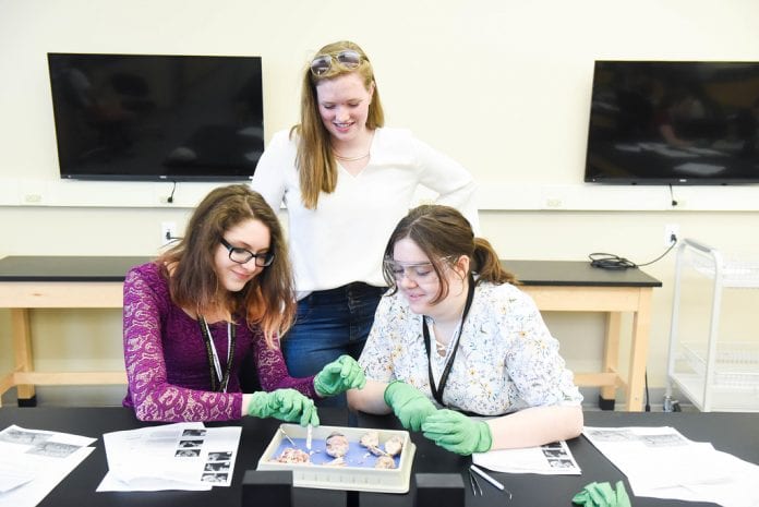Neuroscience department is running a summer camp for students dissecting eyes and brains at Belmont University in Nashville, Tennessee, June 19, 2018.