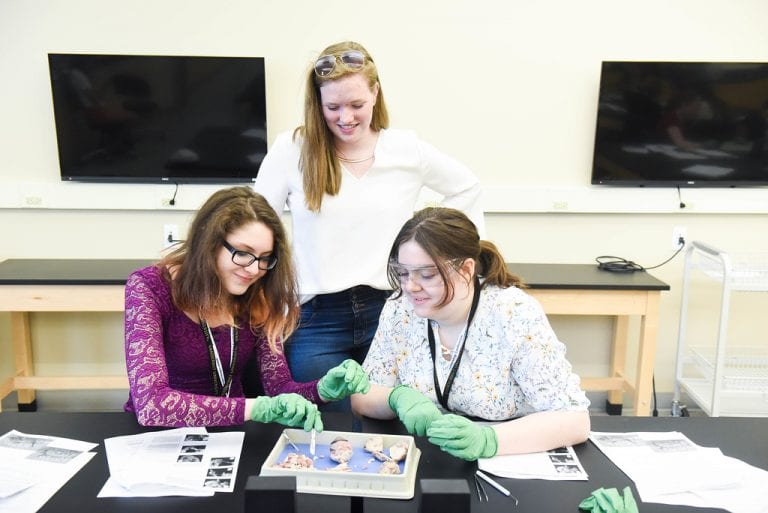 CSM Faculty Host Neuroscience, Psychology Camps on Campus