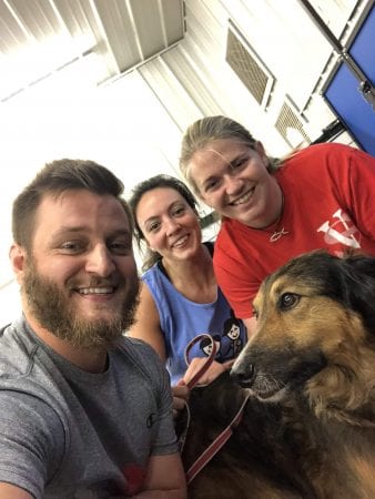 PT students train therapy dogs