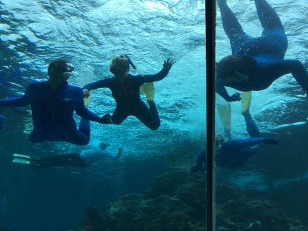Students scuba diving off the Great Barrier Reef in Australia