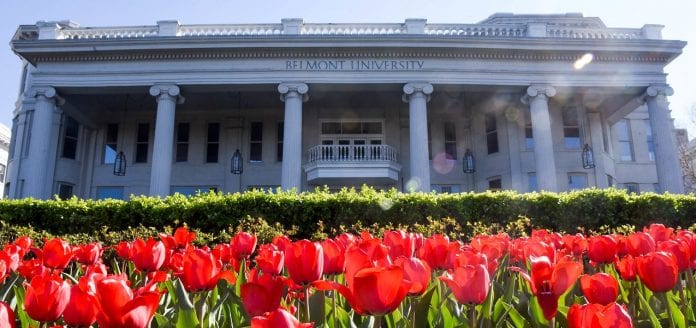 Tulips stand up tall in the sunny afternoon at Belmont University Nashville, Tennessee.