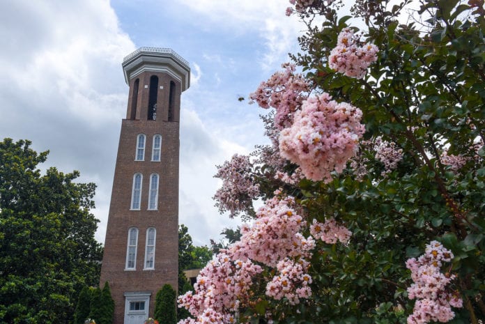 Bell Tower and Flowers