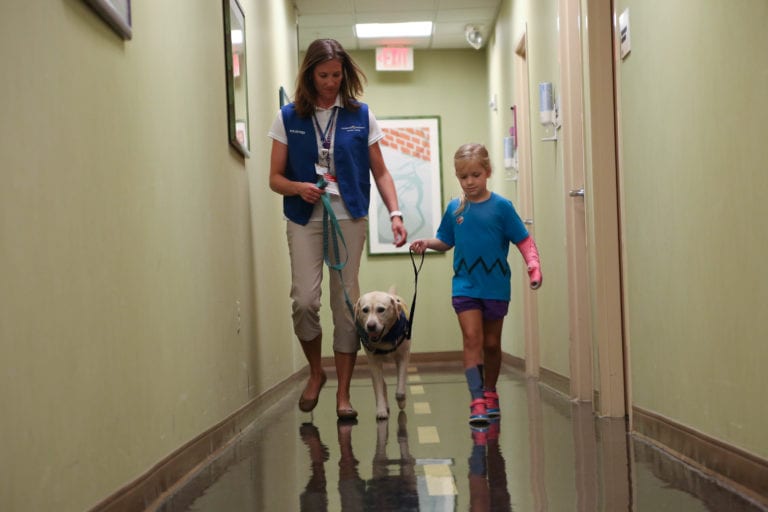Williams Invited to Professional Summit for Animal-Assisted Interventions Williams Invited to Professional Summit for Animal-Assisted Interventions