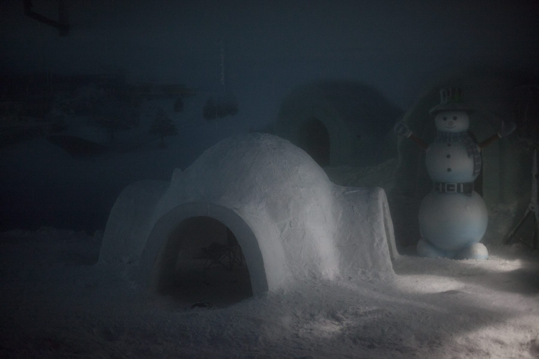 Photo at an Indian Snow Theme Park