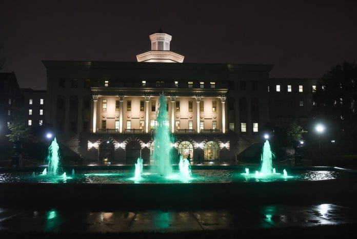 Fountain with Green lights