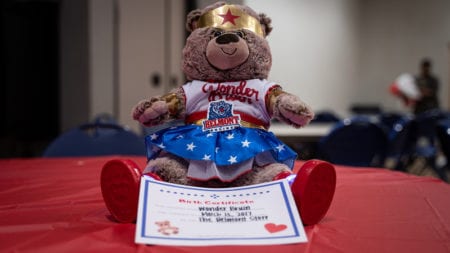 Wonder Bruin Bear