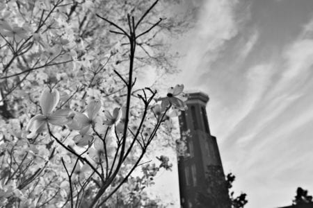 Black and white image of Bell Tower