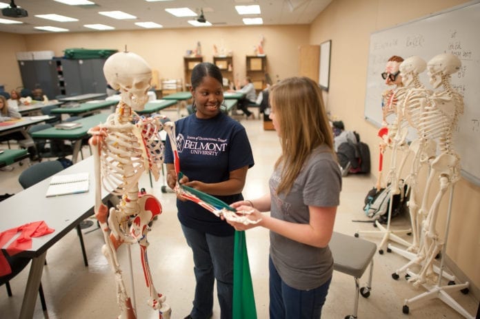 Students work with Skeleton in Belmont's Occupational Therapy Program