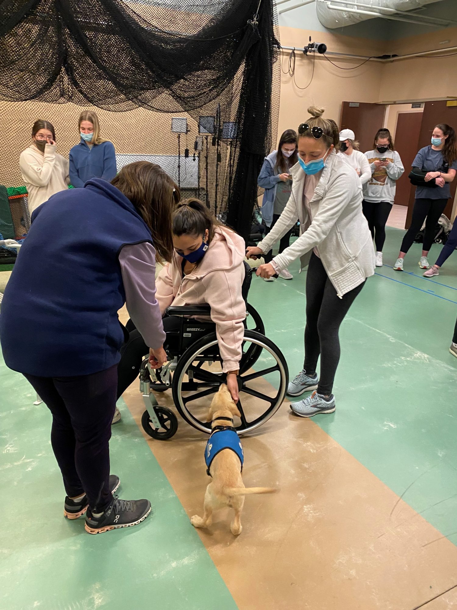 someone in wheelchair pets puppy