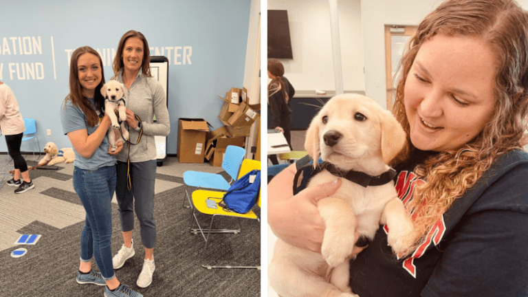 Physical Therapy Faculty, Students, Alumni Raise Future Service Dog for Someone in Need