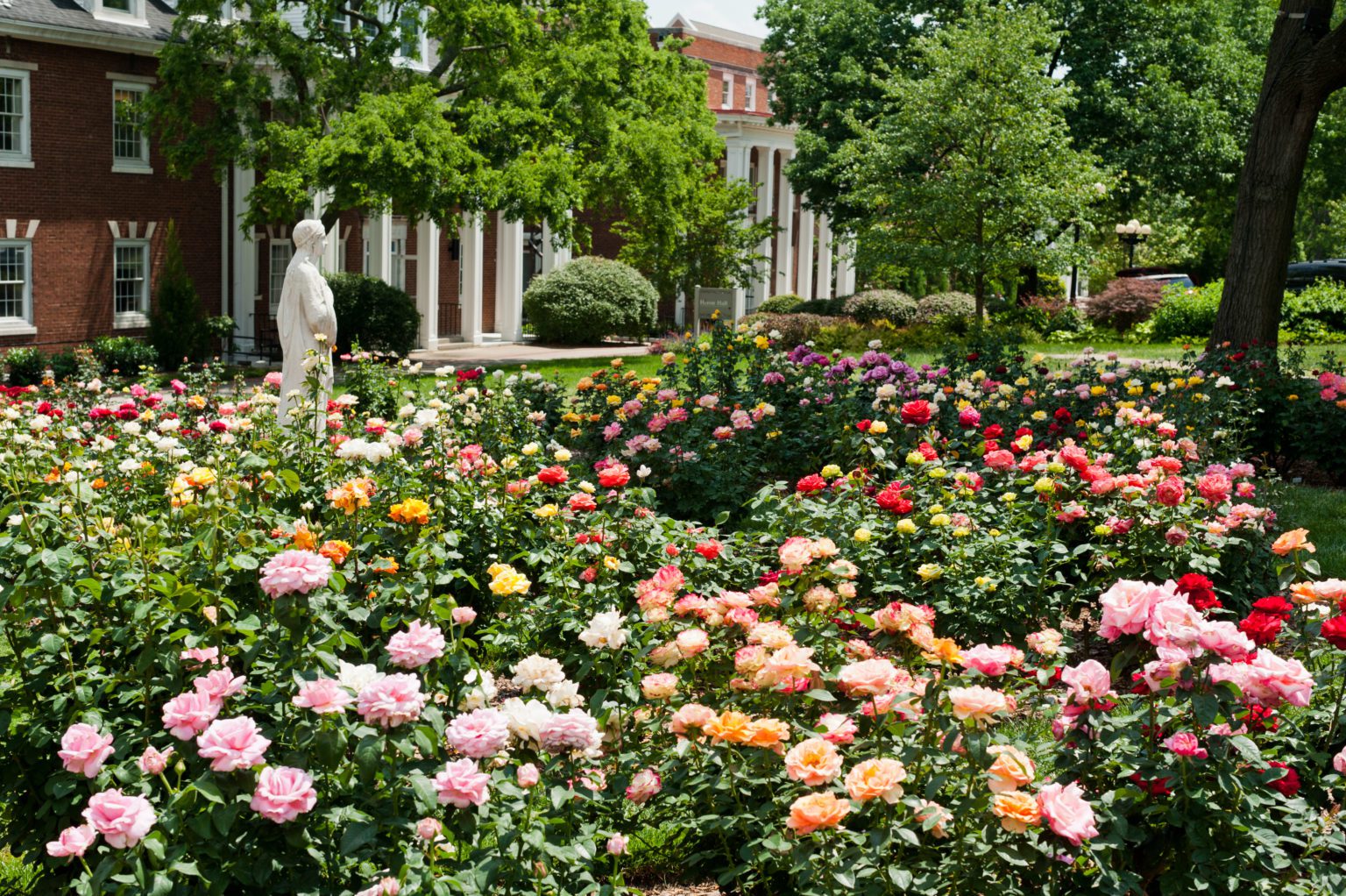 10 Best Spots on One of America’s Prettiest Campuses Belmont University News & Media